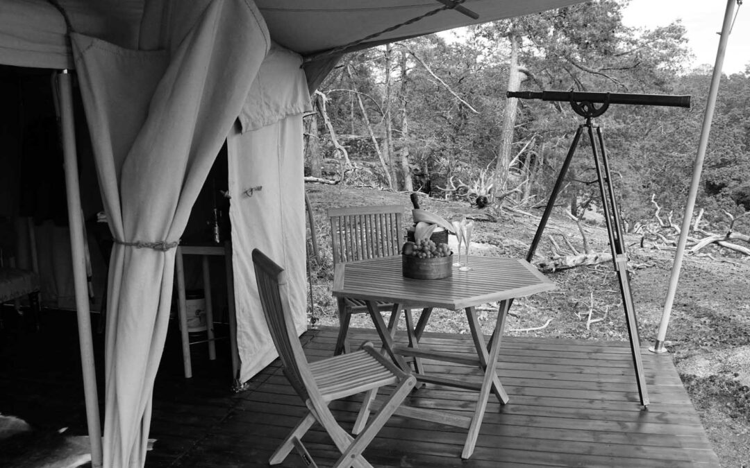 Eriksberg Hotel & Nature Reserve är norra Europas lyxigaste viltreservat